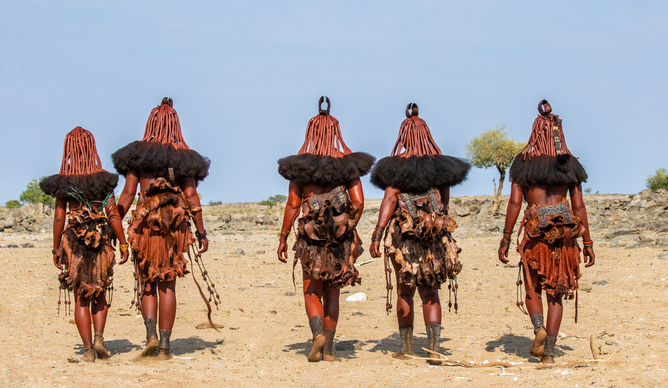 Group of women of the Himba tribe are walking through the desert