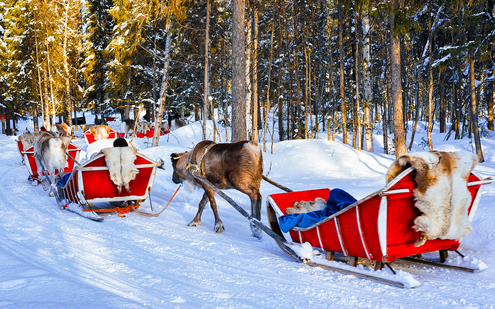 People on Reindeer sleigh in Finland in Rovaniemi at Lapland farm.