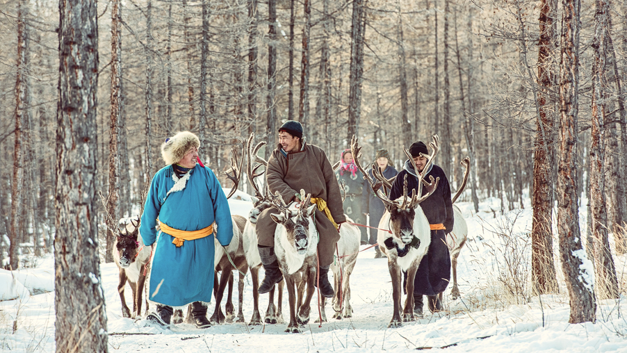 people-with-reindeer-forest