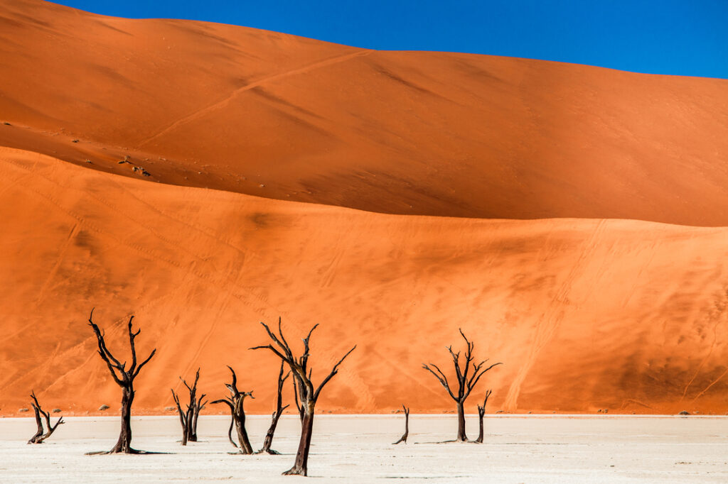 scenic-view-desert-against-clear-sky